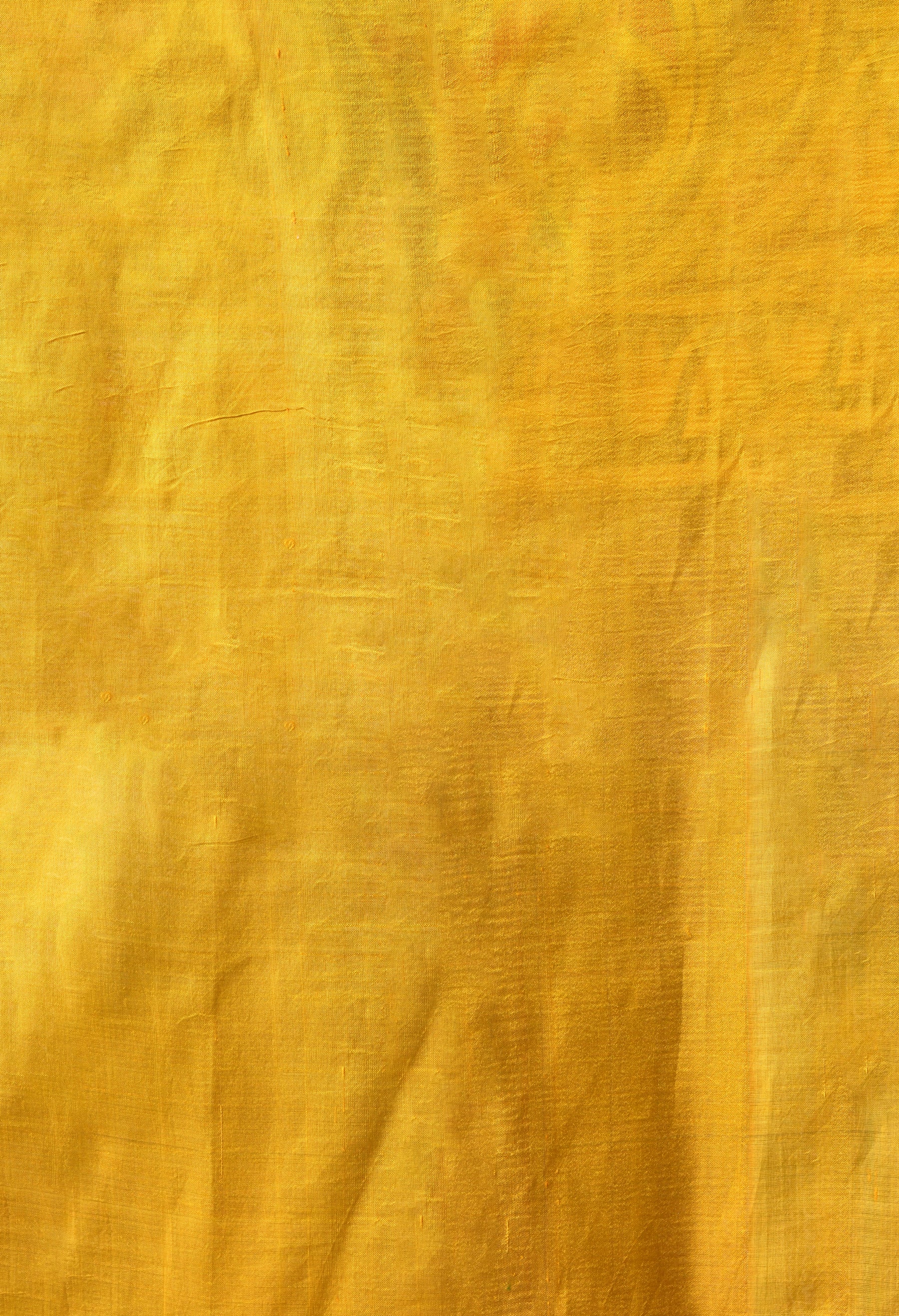 Handcrafted Hand-Painted Tussar Silk Saree – Bhasha Bharat