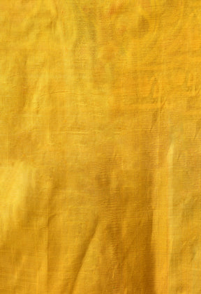 Handcrafted Hand-Painted Tussar Silk Saree – Bhasha Bharat