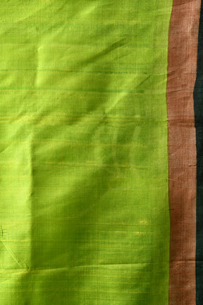 Handcrafted Hand-Painted Tussar Silk Saree – Bhasha Bharat