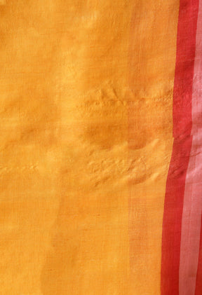 Handcrafted Hand-Painted Tussar Silk Saree – Bhasha Bharat