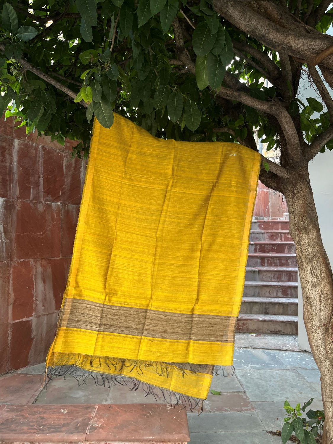 Handwoven Tussar Silk Dupatta Yllow Colour