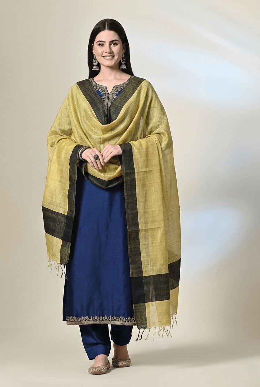 Handloom tussar silk stole