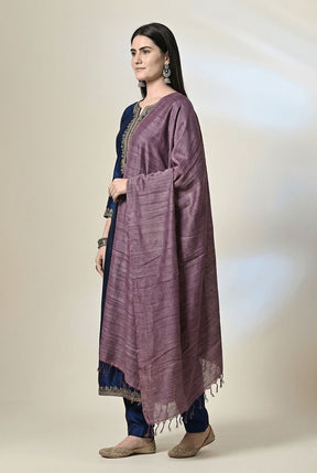 Handloom tussar silk stole