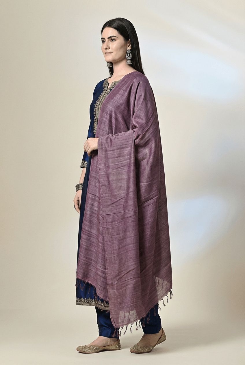 Handloom tussar silk stole